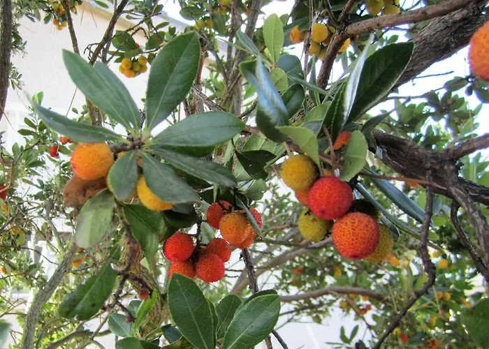 Vakantiehuis Tres Hermanos Con Piscina Privada *